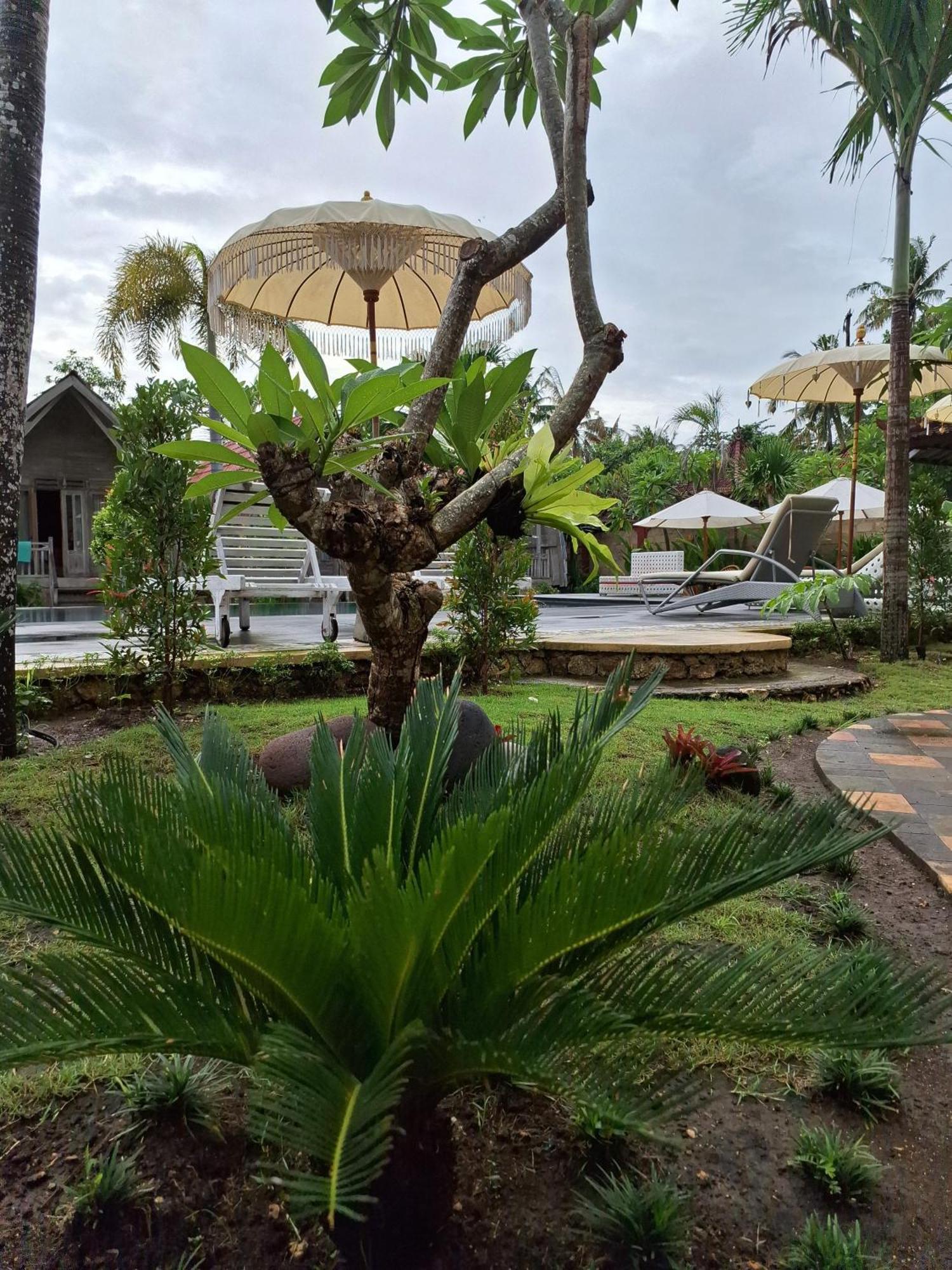 Grand Daghan Cottage Batununggul المظهر الخارجي الصورة